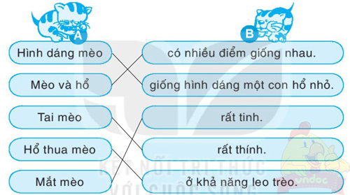 Giải VBT Tiếng Việt 1 trang 47, 48 Bài 3: Chúa tể rừng xanh