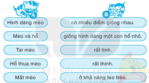 Giải VBT Tiếng Việt 1 trang 47, 48 Bài 3: Chúa tể rừng xanh