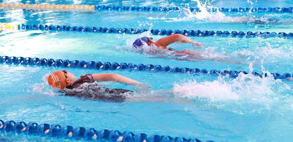 Kể về một trận thi đấu thể thao bơi lội