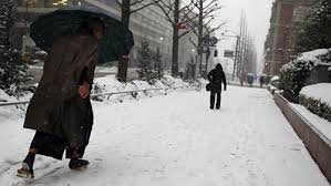 Tóm tắt Người trong bao