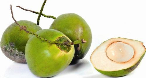 Tả quả dừa lớp 2 - Mẫu