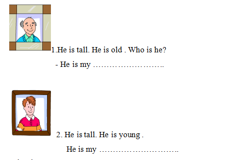 Complete the sentences (Hoàn thành câu):