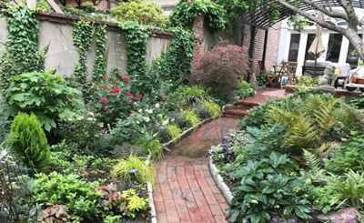 Từ bài Lao xao của Duy Khán, em hãy tả lại khu vườn trong một buổi sáng đẹp trời