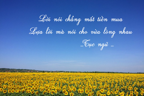 Lời nói chẳng mất tiền mua, lựa lời mà nói cho vừa lòng nhau