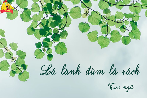 Dàn ý chứng minh câu tục ngữ Lá lành đùm lá rách