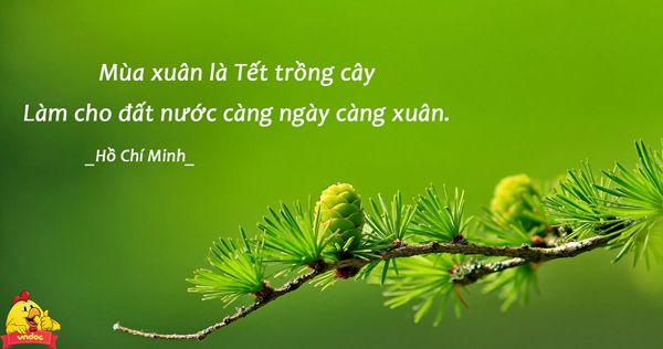 Mùa xuân là Tết trồng cây làm cho đất nước càng ngày càng xuân