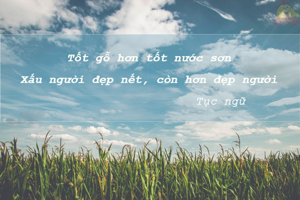Giải thích câu tục ngữ Tốt gỗ hơn tốt nước sơn