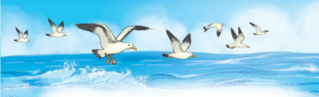 Giải bài tập Tiếng Việt 1 trang 104, 105, 106, 107 Bài 1: Loài chim của biển cả