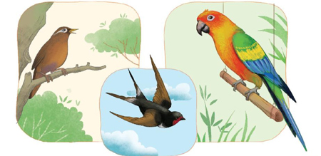 Giải bài tập Tiếng Việt 1 trang 104, 105, 106, 107 Bài 1: Loài chim của biển cả