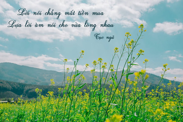 Lời nói chẳng mất tiền mua lựa lời mà nói cho vừa lòng nhau