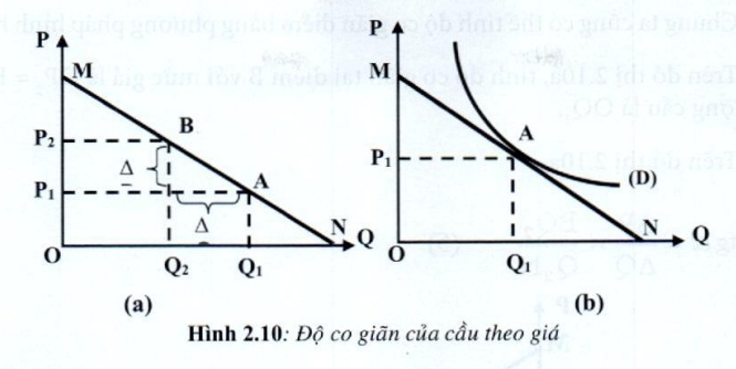 Lý thuyết kinh tế vi mô