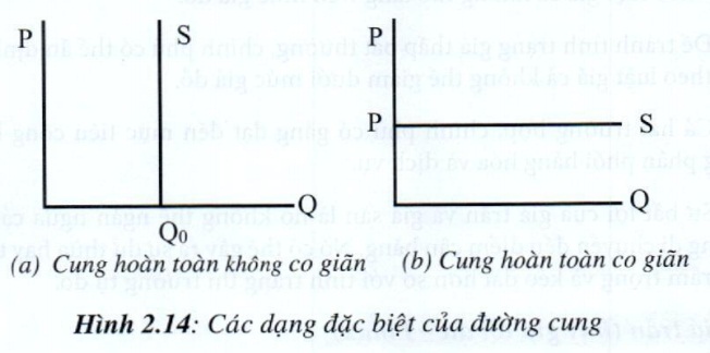 Kinh tế vi mô