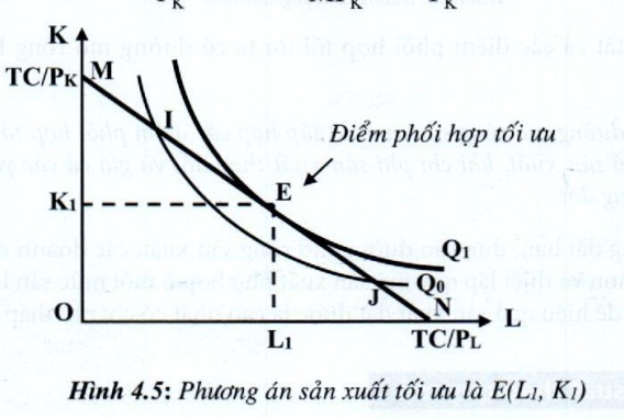 Lý thuyết Nguyên tắc sản xuất