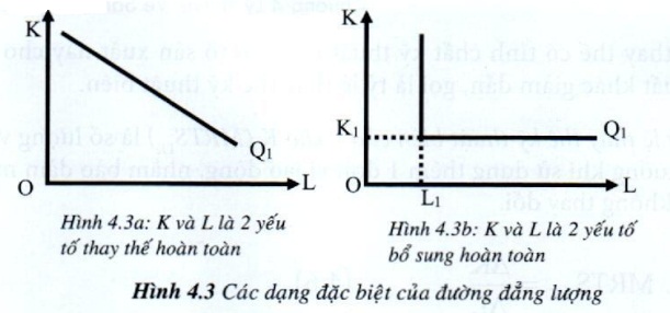 Lý thuyết Nguyên tắc sản xuất