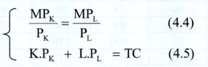 Lý thuyết Nguyên tắc sản xuất