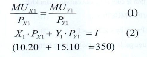 Lý thuyết kinh tế vi mô