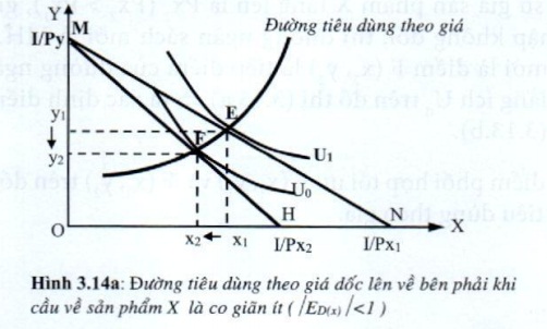 Lý thuyết Phân tích tiêu dùng