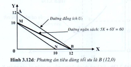 Lý thuyết Phân tích tiêu dùng