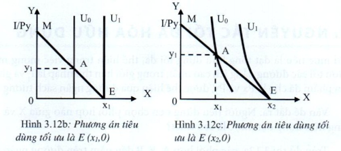 Lý thuyết Phân tích tiêu dùng