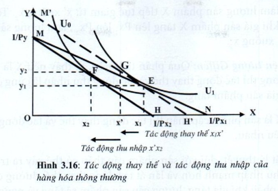Lý thuyết Phân tích tiêu dùng