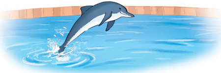 Giải bài tập Tiếng Việt 1 trang 114, 115, 116, 117 Bài 4: Cuộc thi tài năng rừng xanh