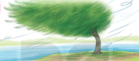 Giải bài tập Tiếng Việt 1 trang 118, 119, 120, 121 Bài 5: Cây liễu dẻo dai