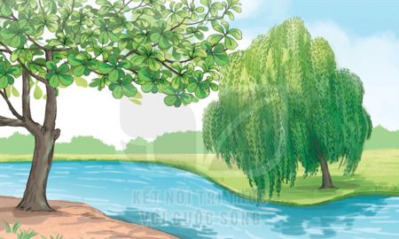 Giải bài tập Tiếng Việt 1 trang 118, 119, 120, 121 Bài 5: Cây liễu dẻo dai