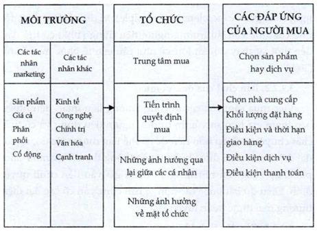 Hành vi mua hàng của tổ chức