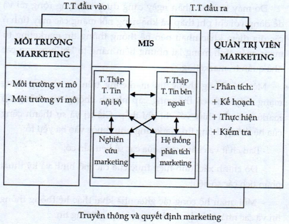 Hệ thống thông tin Marketing