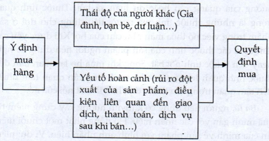 Lý thuyết thị trường người tiêu dùng