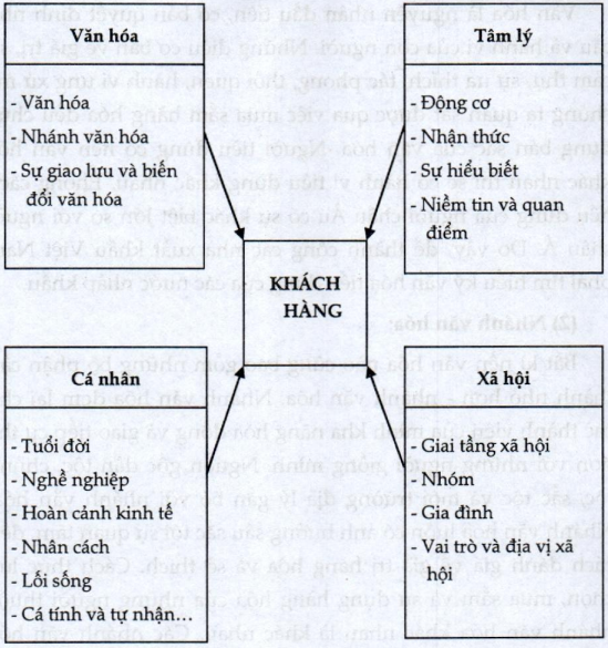 Lý thuyết thị trường người tiêu dùng