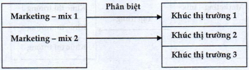 Lý thuyết Lựa chọn thị trường