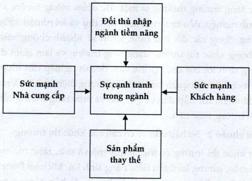 Lý thuyết Lựa chọn thị trường