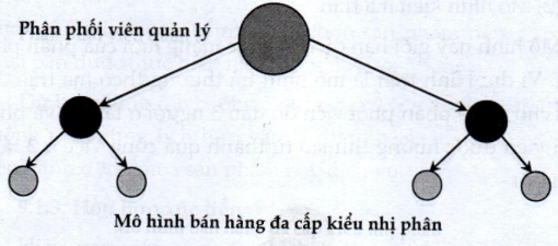 Lý thuyết cấu trúc kênh phân phối