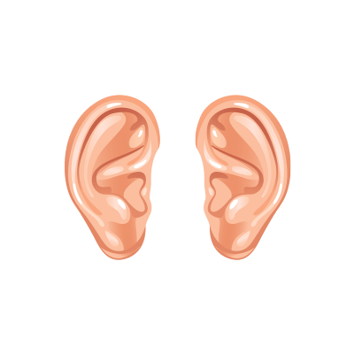 Đề thi Tiếng Anh lớp 1 học kì 2 sách Cánh Diều năm 2021 - Đề 1