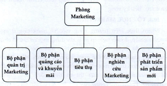 Lý thuyết tổ chức marketing