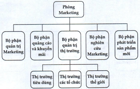 Lý thuyết tổ chức marketing