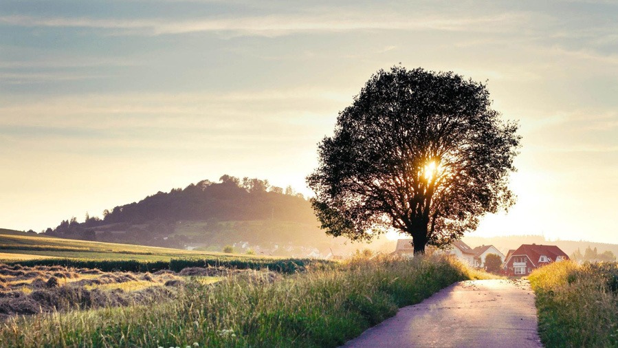 Tả ngày mới bắt đầu ở quê em