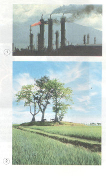 Đề thi học kì 2 lớp 4 môn Khoa học