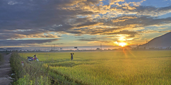 Tả cảnh buổi sáng ở quê hương em