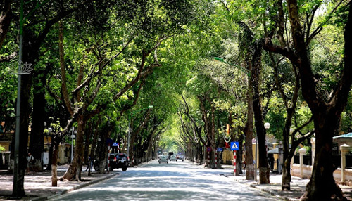 Tả buổi sáng trên phố em sống lớp 6