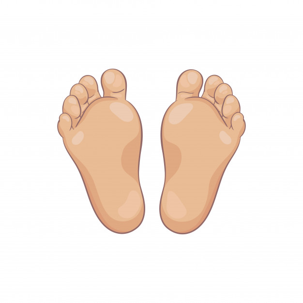 Đề thi Tiếng Anh lớp 1 học kì 2 sách Cánh Diều năm 2021 - Đề 3