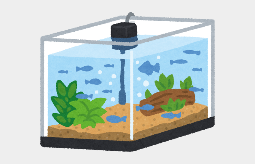 Đề thi Tiếng Anh lớp 3 học kì 2 năm 2021 - Đề 4