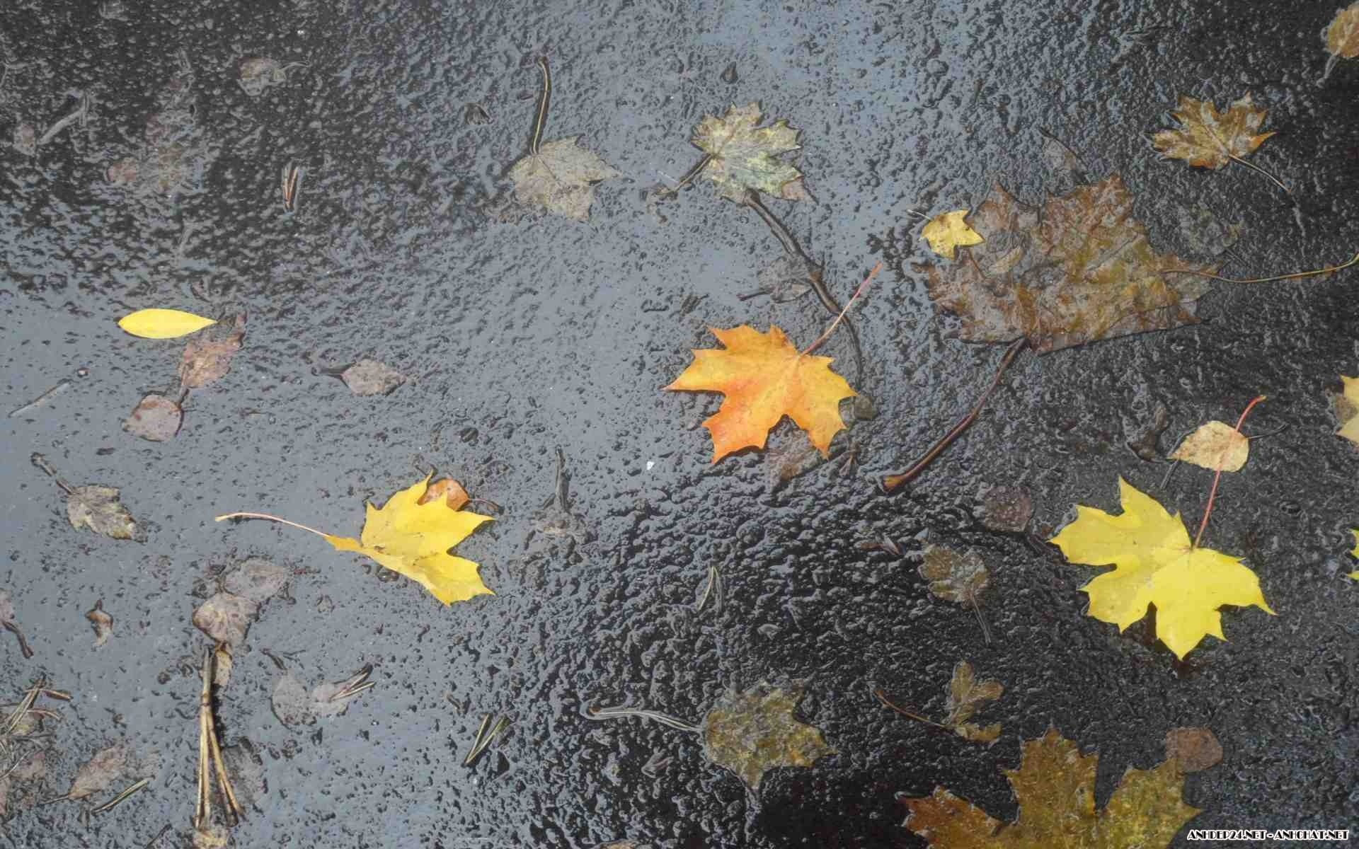 hinh anh dep nhat ve troi mua*276330