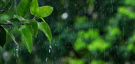 Tả cơn mưa lớp 5