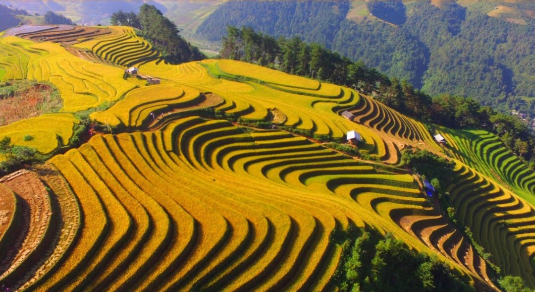 Tả cảnh đẹp quê hương em