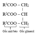 Công thức cấu tạo chung của chất béo