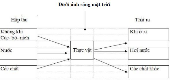 Đề thi học kì 2 lớp 4 môn Khoa học trường Tiểu học Hồng Đà, Phú Thọ năm học 2020 - 2021