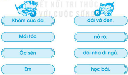 Bài 47: oc ôc uc ưc