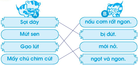 Giải VBT Tiếng Việt 1 trang 47 Bài 52: ut ưt